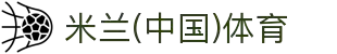 米兰(中国)体育官方网站-AC Milan